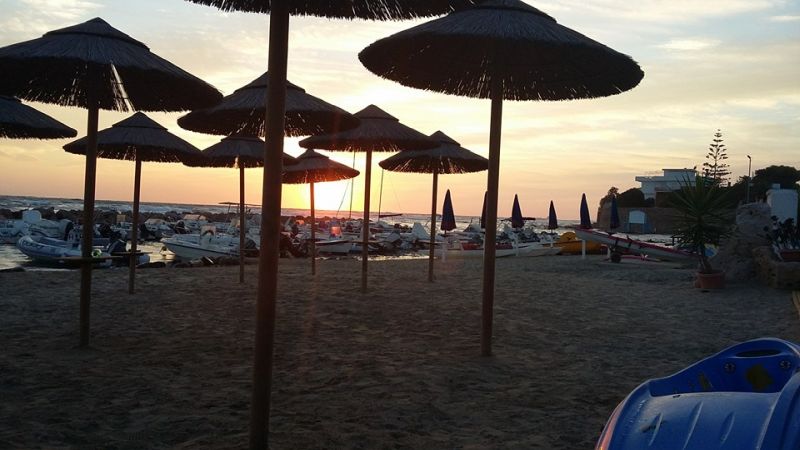 Little Paradise