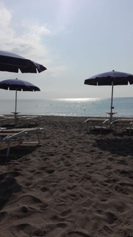 Lido Tropicana