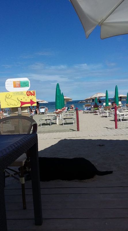 Overbeach