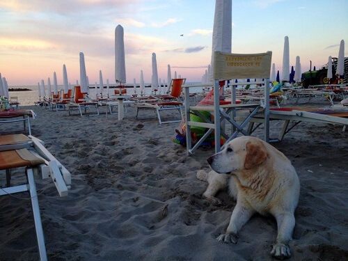 Bagno Miami