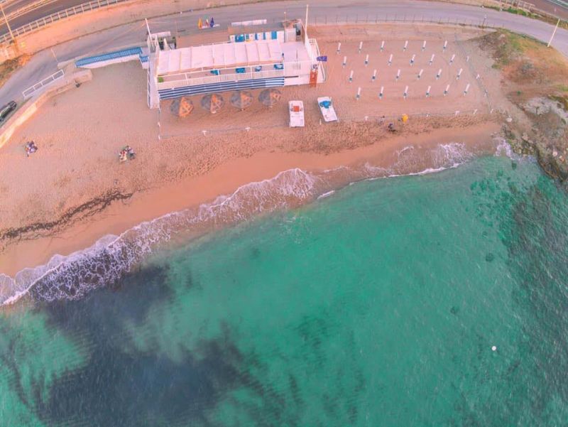 Lido Dolphin
