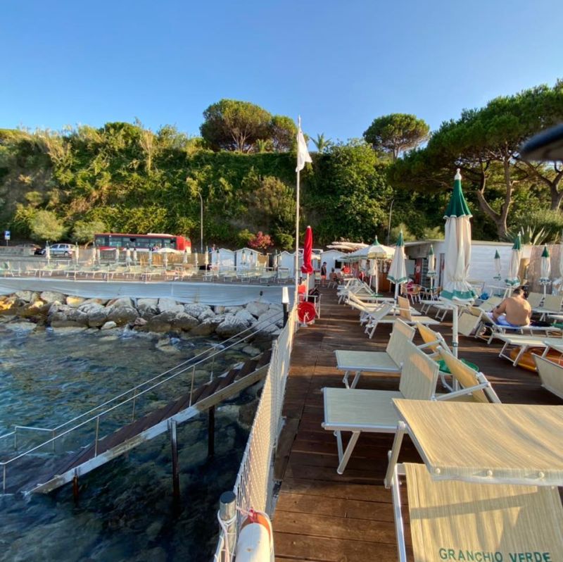 Granchio Verde WoodenBeach