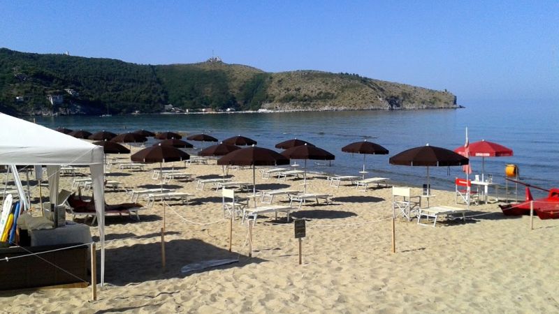 Net Beach