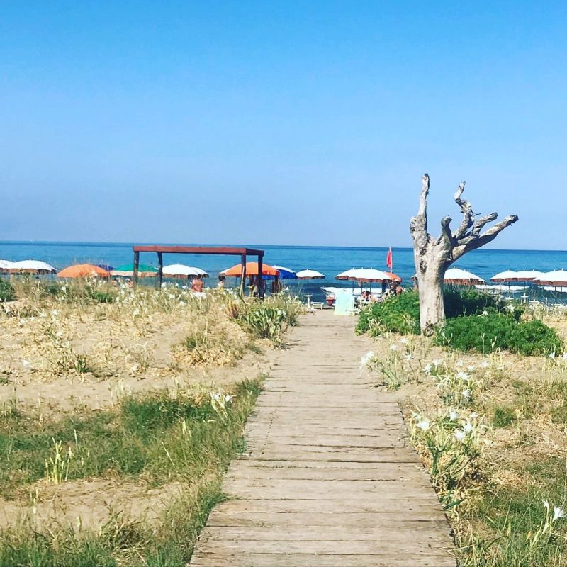 MareMirtilli Eco Beach