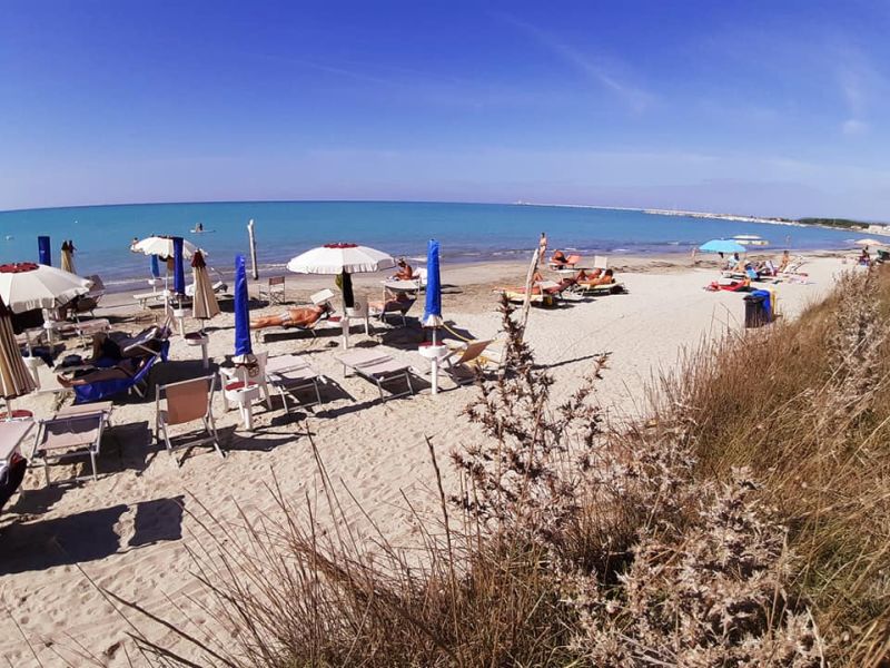 Dune Mosse