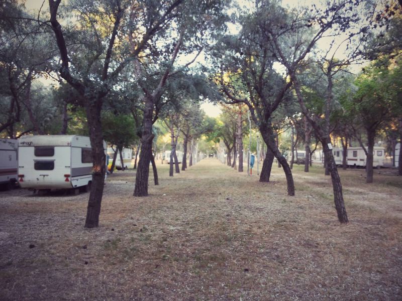 Lido Tellina Camping