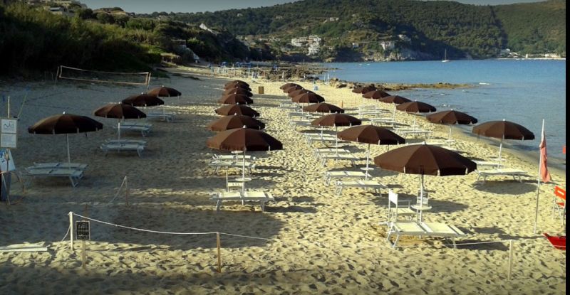 Net Beach
