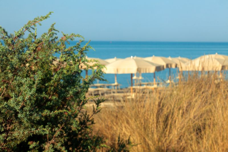 La Dogana Beach Club