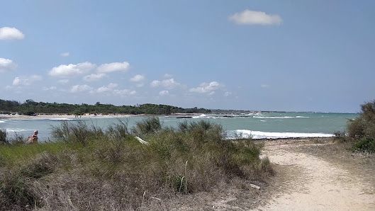 Spiaggia Di Torre Guaceto
