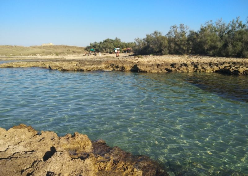 Spiaggia Di Torre Guaceto