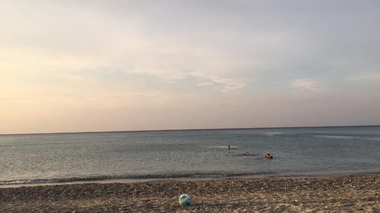 The Jungle Beach Club