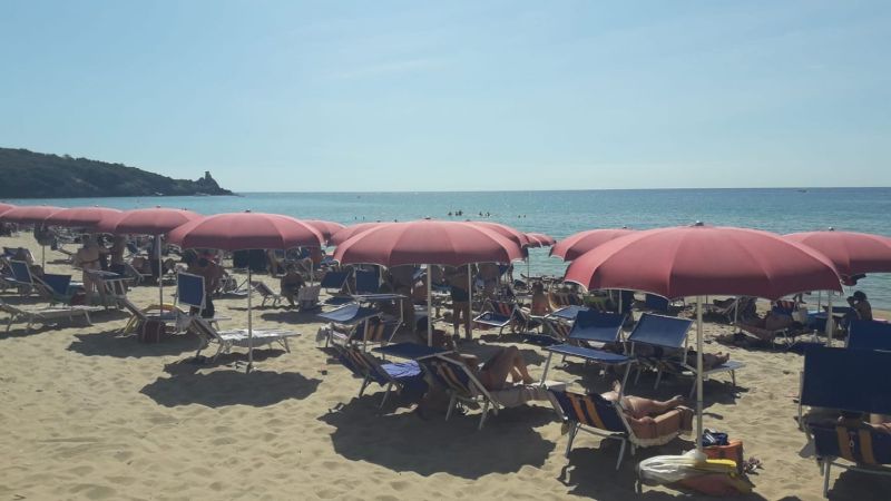 Spiaggia Blueberry