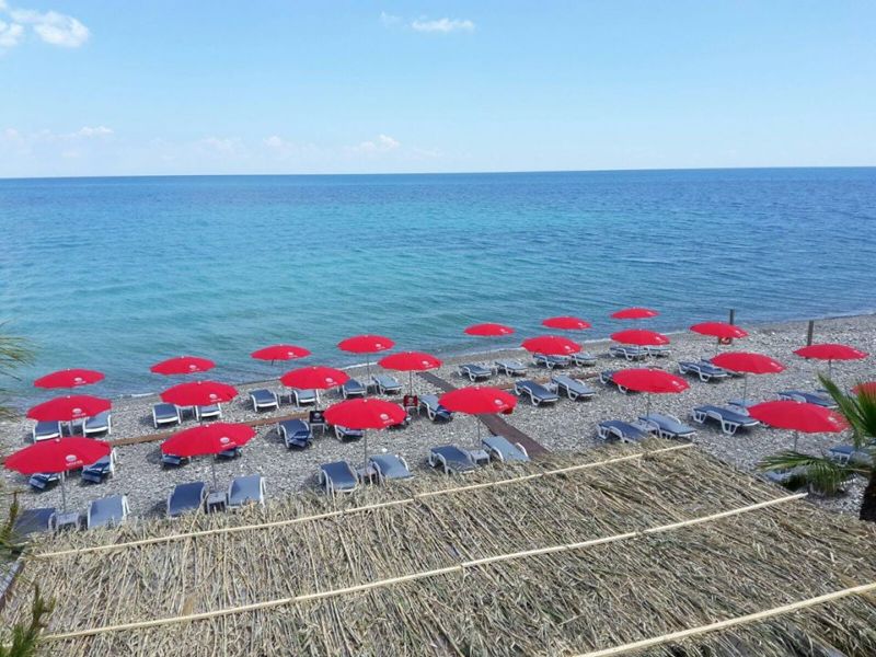 Energy Beach Bar