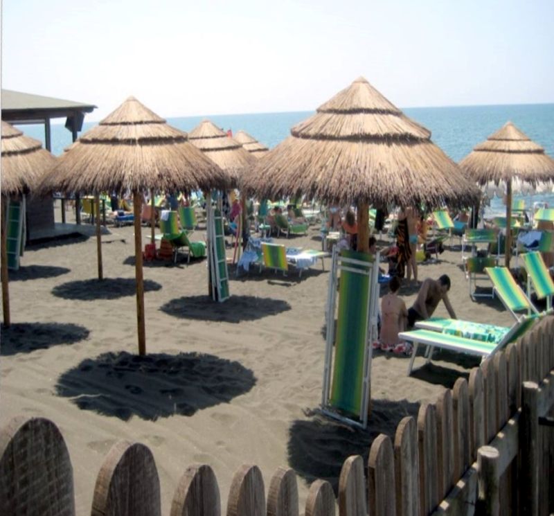 Be Bop A Lula Beach