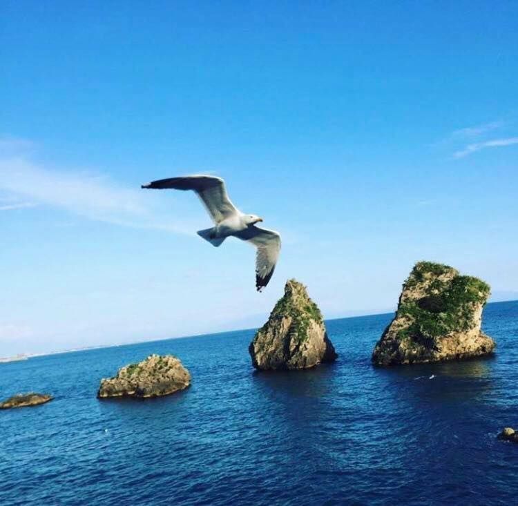 Lido La Ciurma
