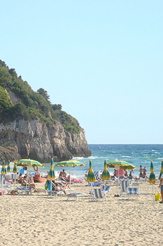 Palm Beach