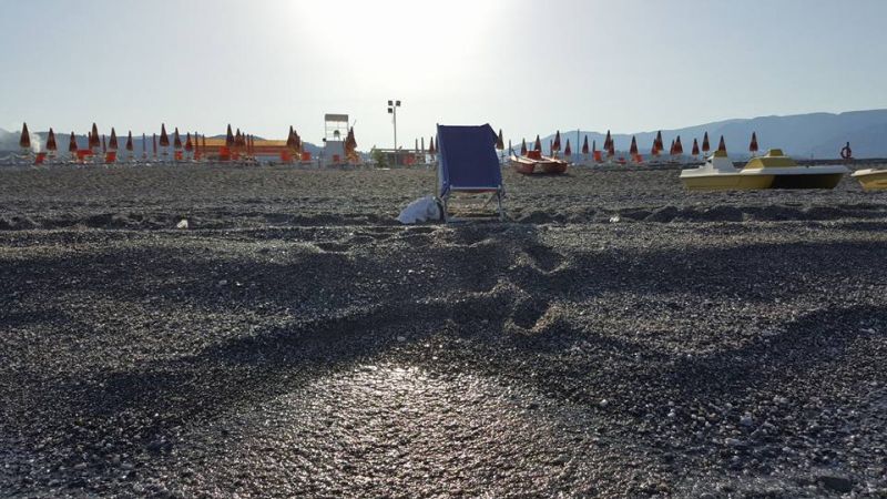 La Playa Del Sol
