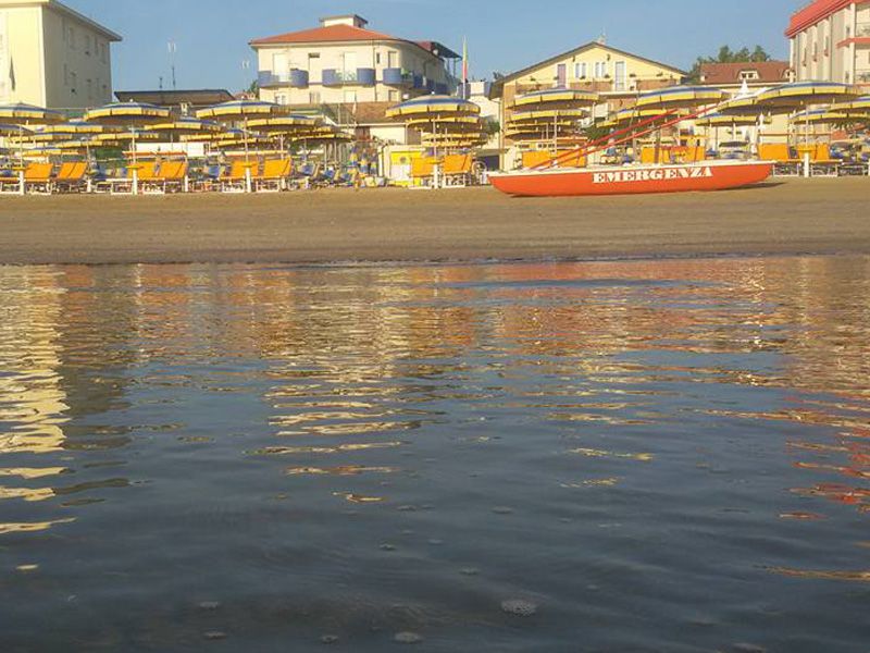 Spiaggia 54