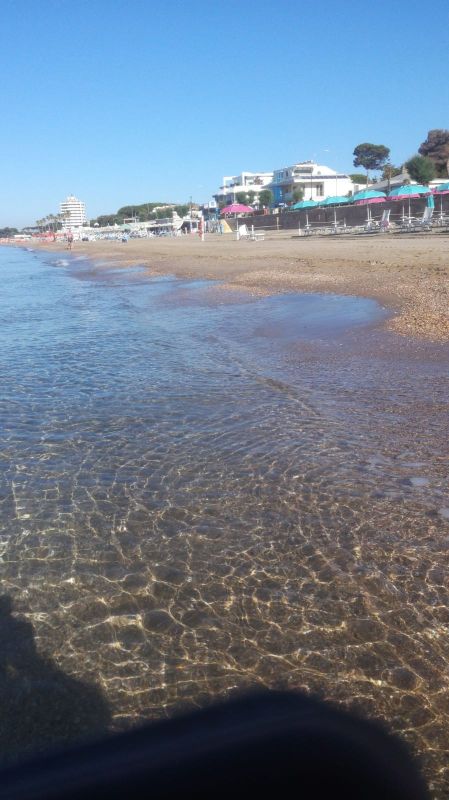 La Vela
