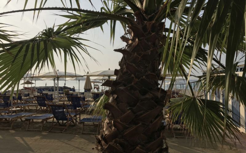 Walter Beach Cafè