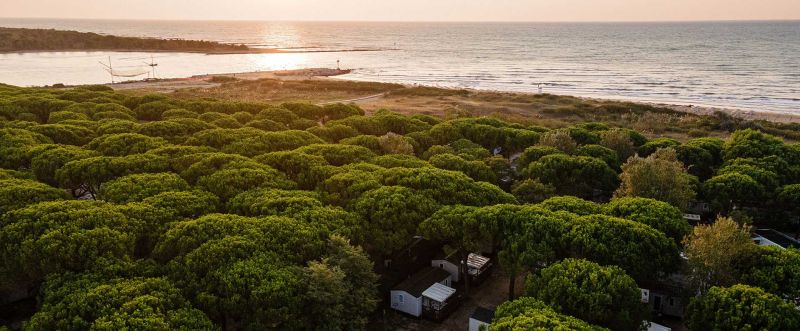 Camping Waikiki