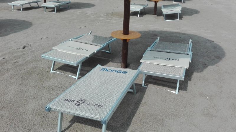 Bagno Tamerici Dog