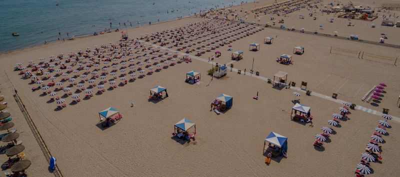 Bagno Tamerici Dog