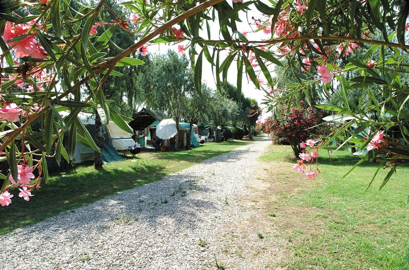 Tuscia Tirrenica Camping Village