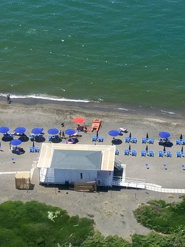 Tequila Dog Beach