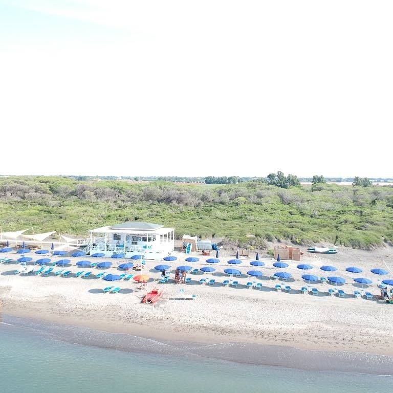 Tequila Dog Beach