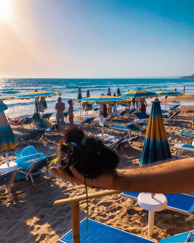 Snello Beach