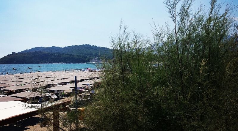 Lido Scauri