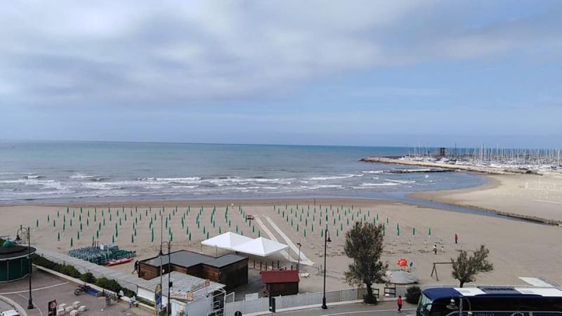 Salus
