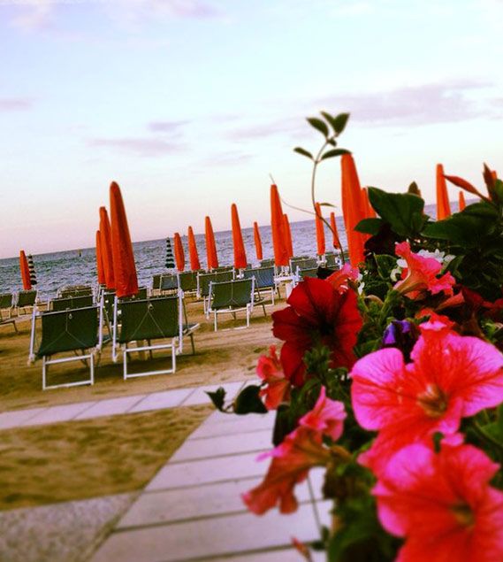 Bagno Wave
