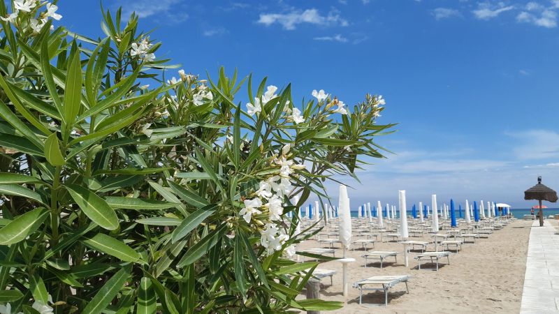 BBK Disco & Beach