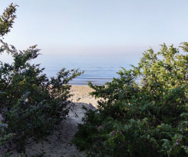 Lido Azzurro