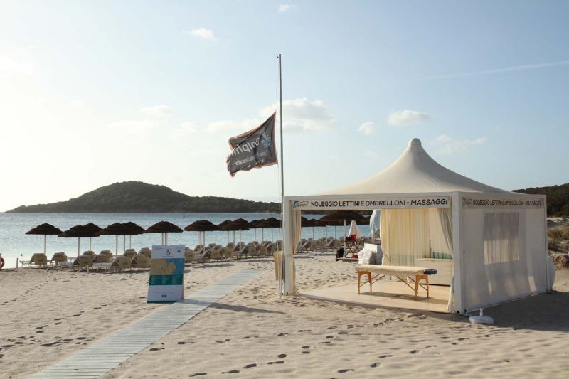 Dolphin Beach