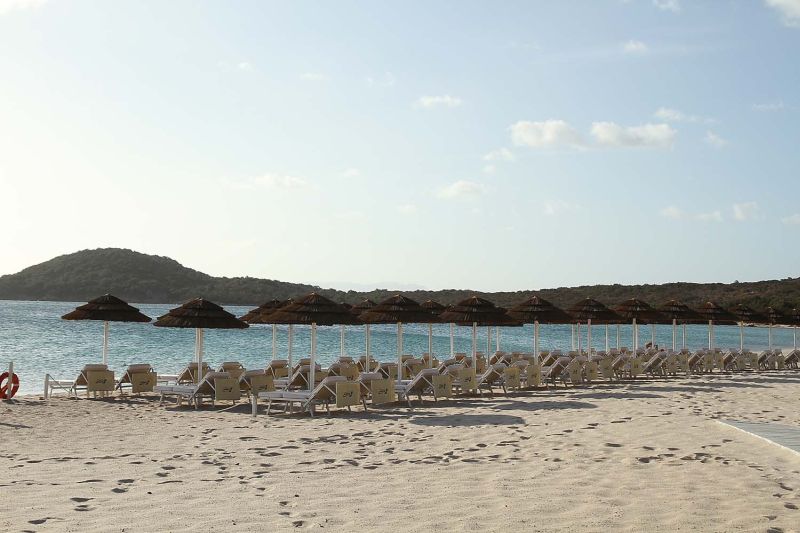 Dolphin Beach
