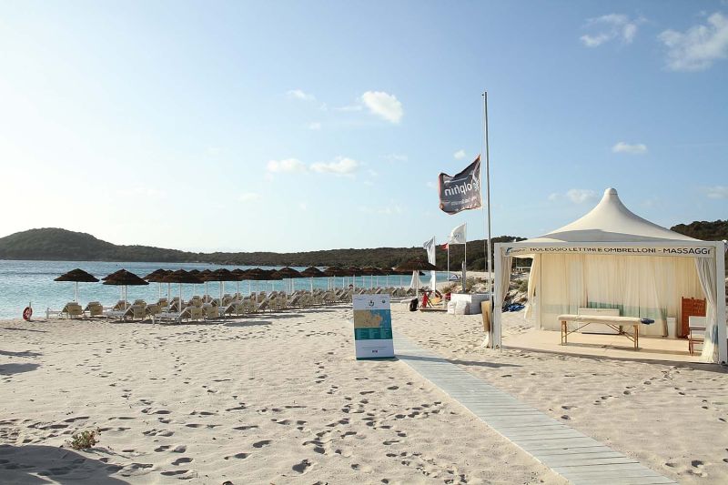 Dolphin Beach