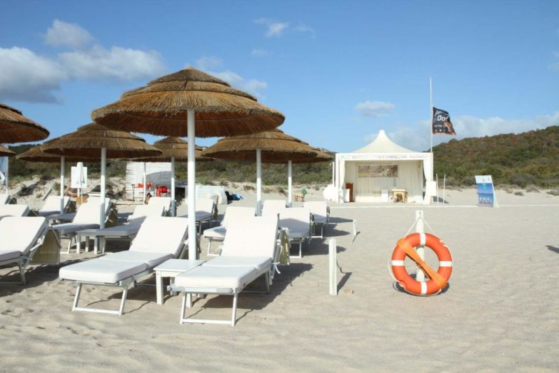 Dolphin Beach