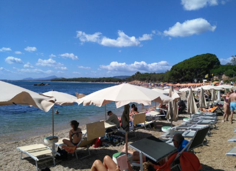 Tortuga Beach