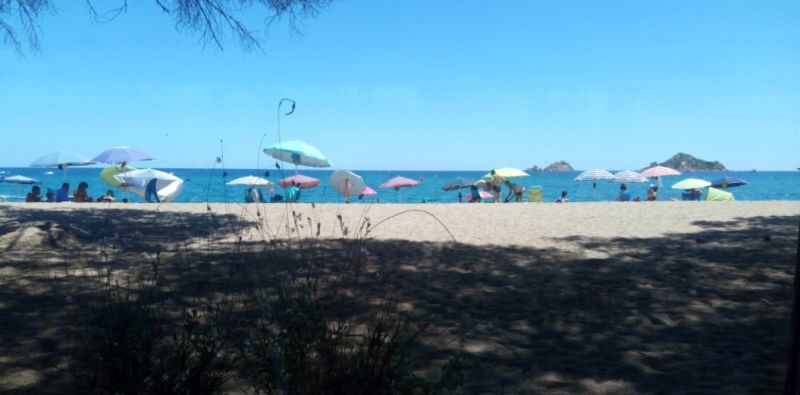 Flamingo Beach Bar