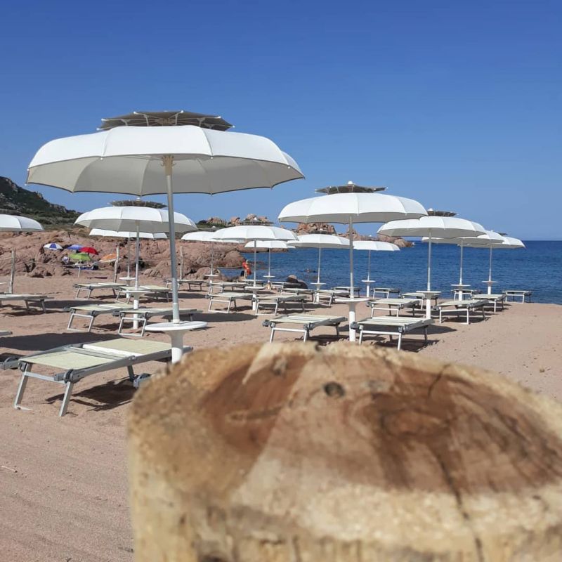 Oasis Beach Bar