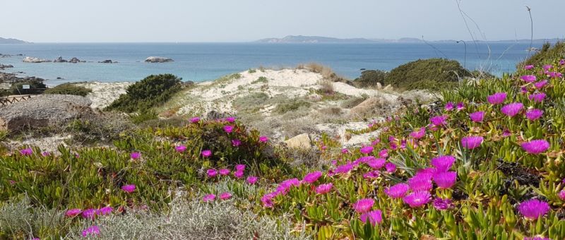 Spiaggia Di Bassa Trinità