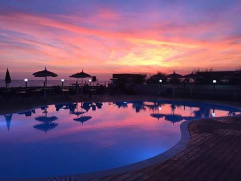 Lido Liriope
