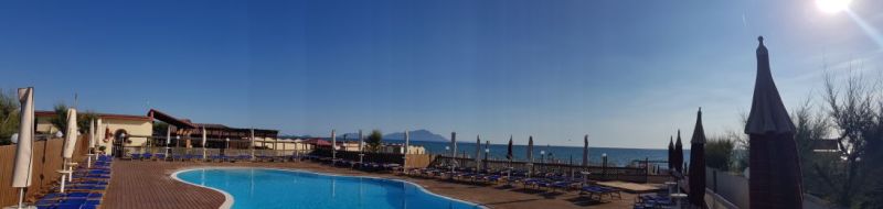 Lido Liriope