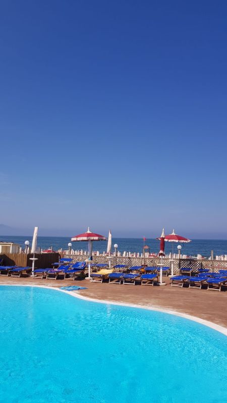 Lido Liriope