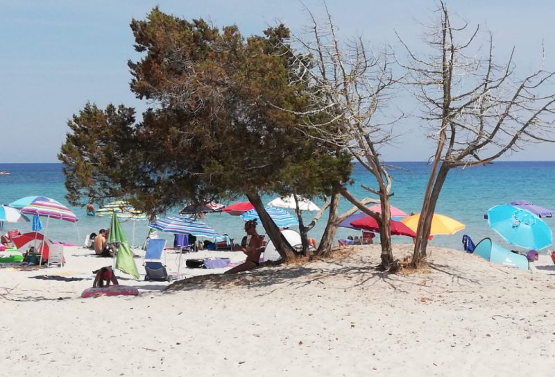 Cala Ginepro