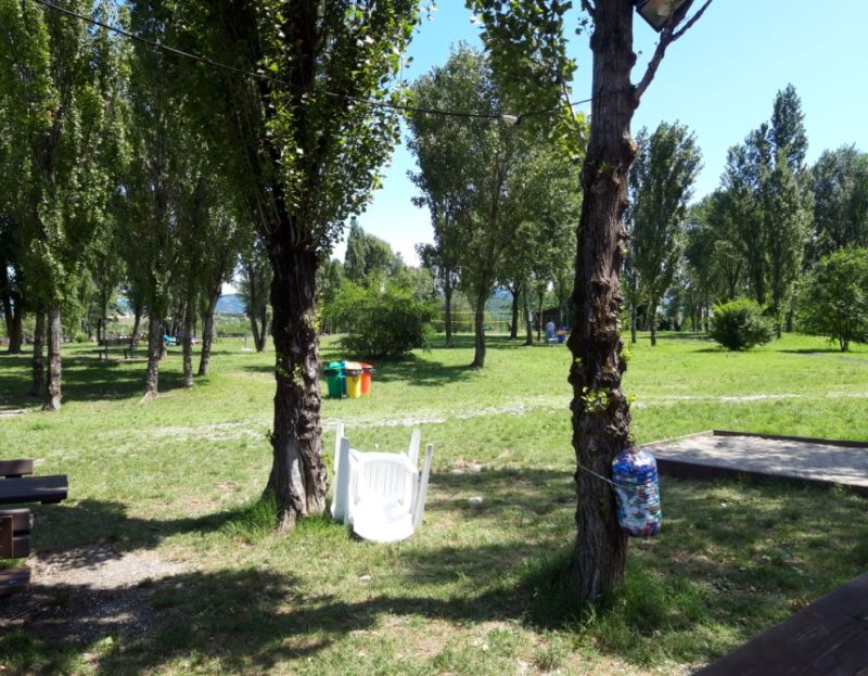 Fido Lido Dog Beach Muggia