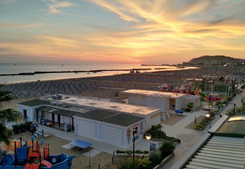 Sunflower Beach 95